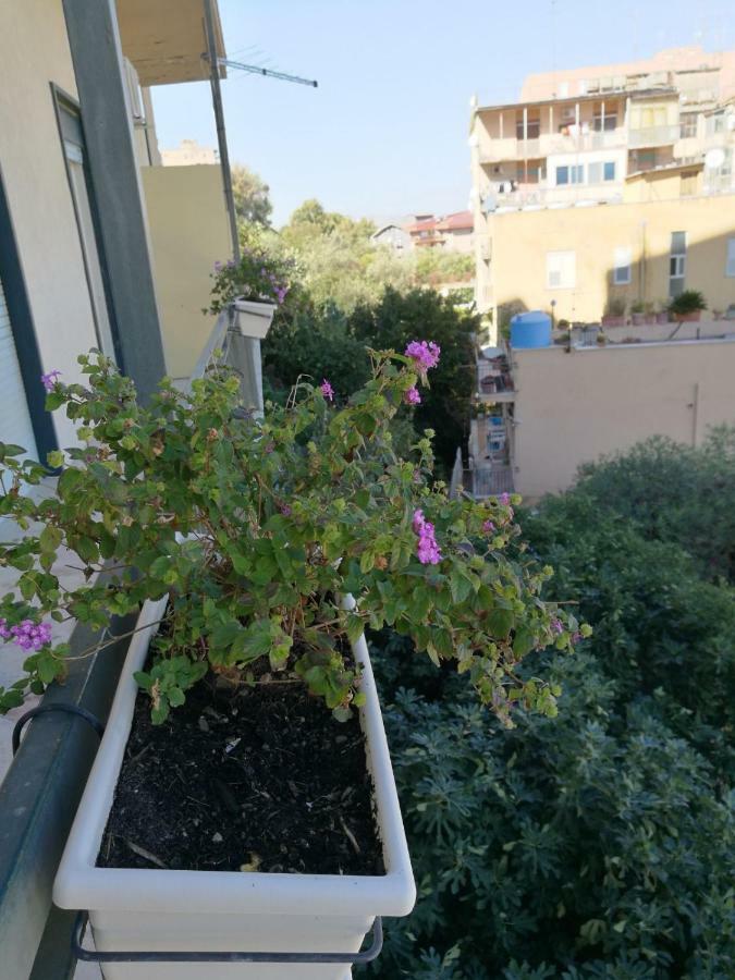A Casa Di Ida Apartment Agrigento Luaran gambar